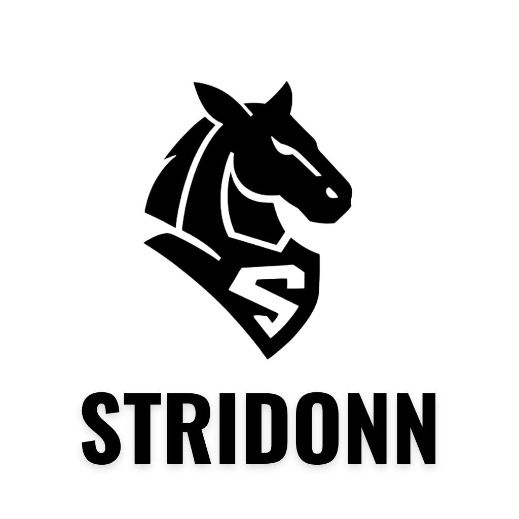 STRIDONN Logo